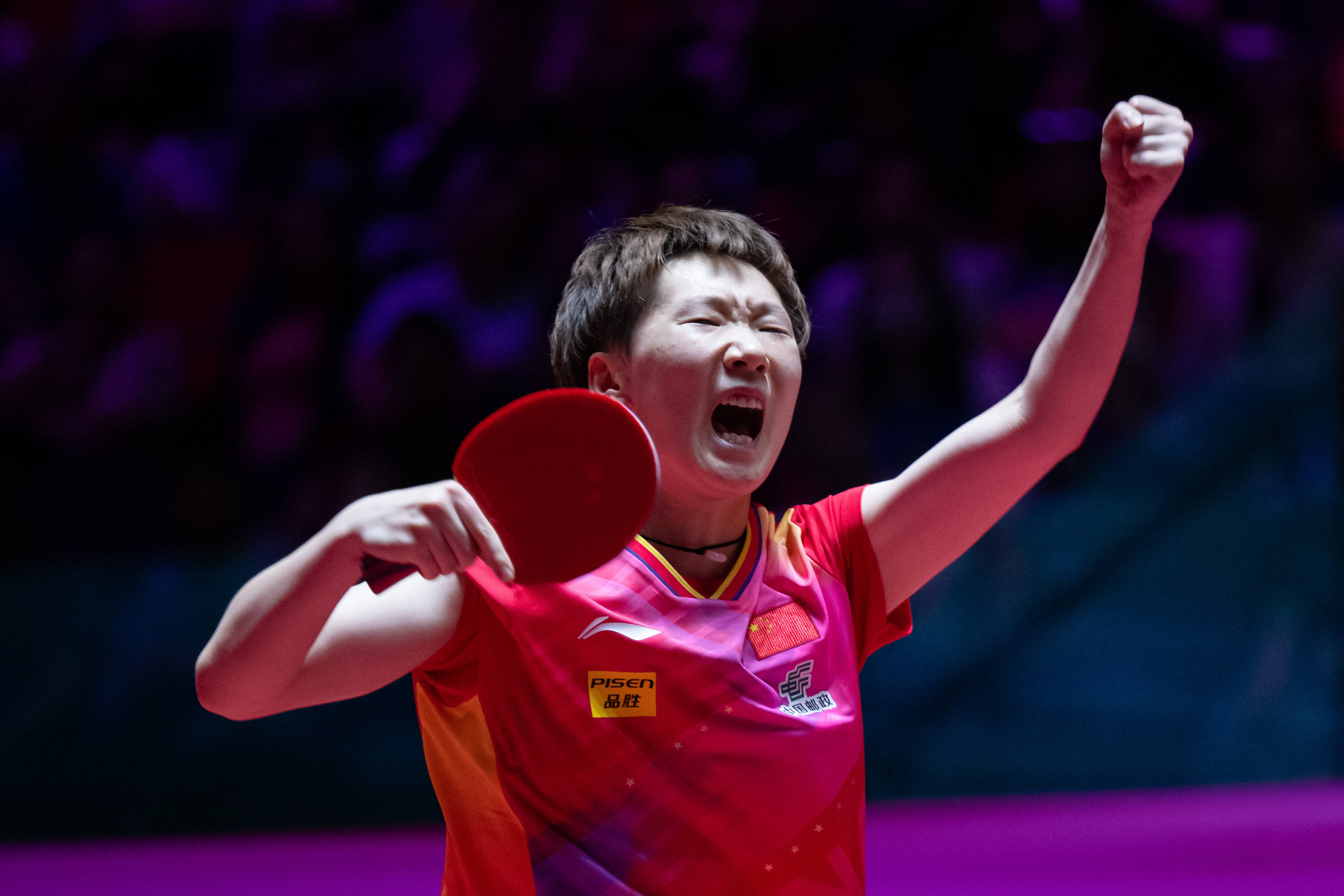 他们的集体 他们的集体