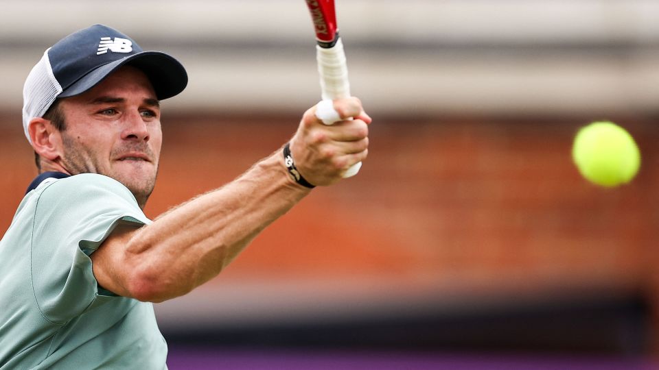 术理解相结 术理解相结